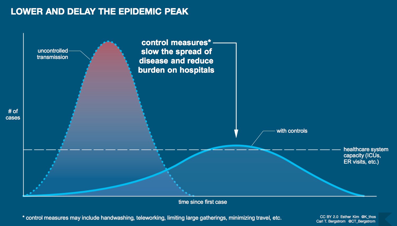 It is important to slow down the spread through simple measures such as social distancing, hand washing as covered in the article (flatten the curve)