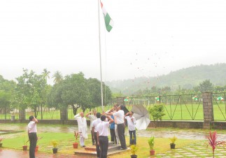 Image description