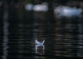 silence (1).jpg