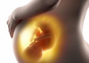 pregnant-woman-fetus-3d-concept-260nw-232134673.jpg