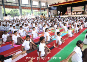 3rd International Day of Yoga Celebrations 2017 -  (10).jpg