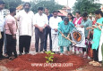 ಜವನೆರ್ ಬೆದ್ರ ಸಂಘಟನೆಯಿಂದ ಕದಂಬ ವನ ಅಭಿಯಾನ