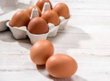 egg.jpg