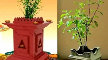 WhatsApp Image 2025-10-31 at 15.45.27.jpeg