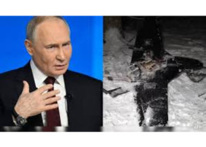 download (31) (1) (1).jpg